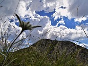 Cima Foppazzi (2097 m) e Cima Grem (2049 m) da Alpe Arera -22ag22- FOTOGALLERY